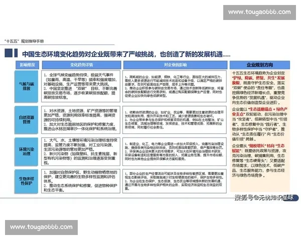 以长期规划为核心构建可持续发展战略助力企业未来增长与竞争力提升